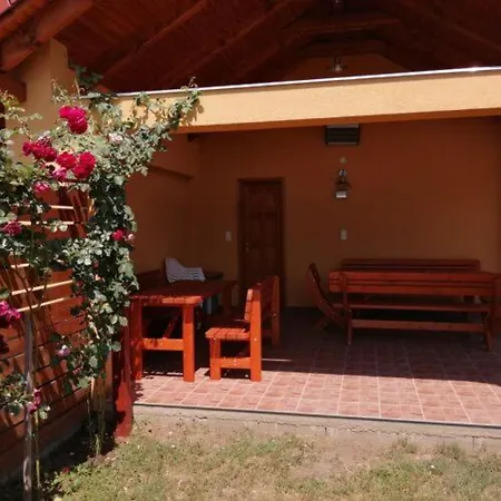 Ferenc Vendeghaza * 巴拉通雷勒